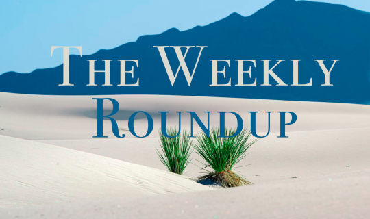 The Weekly Roundup June 24 - 28