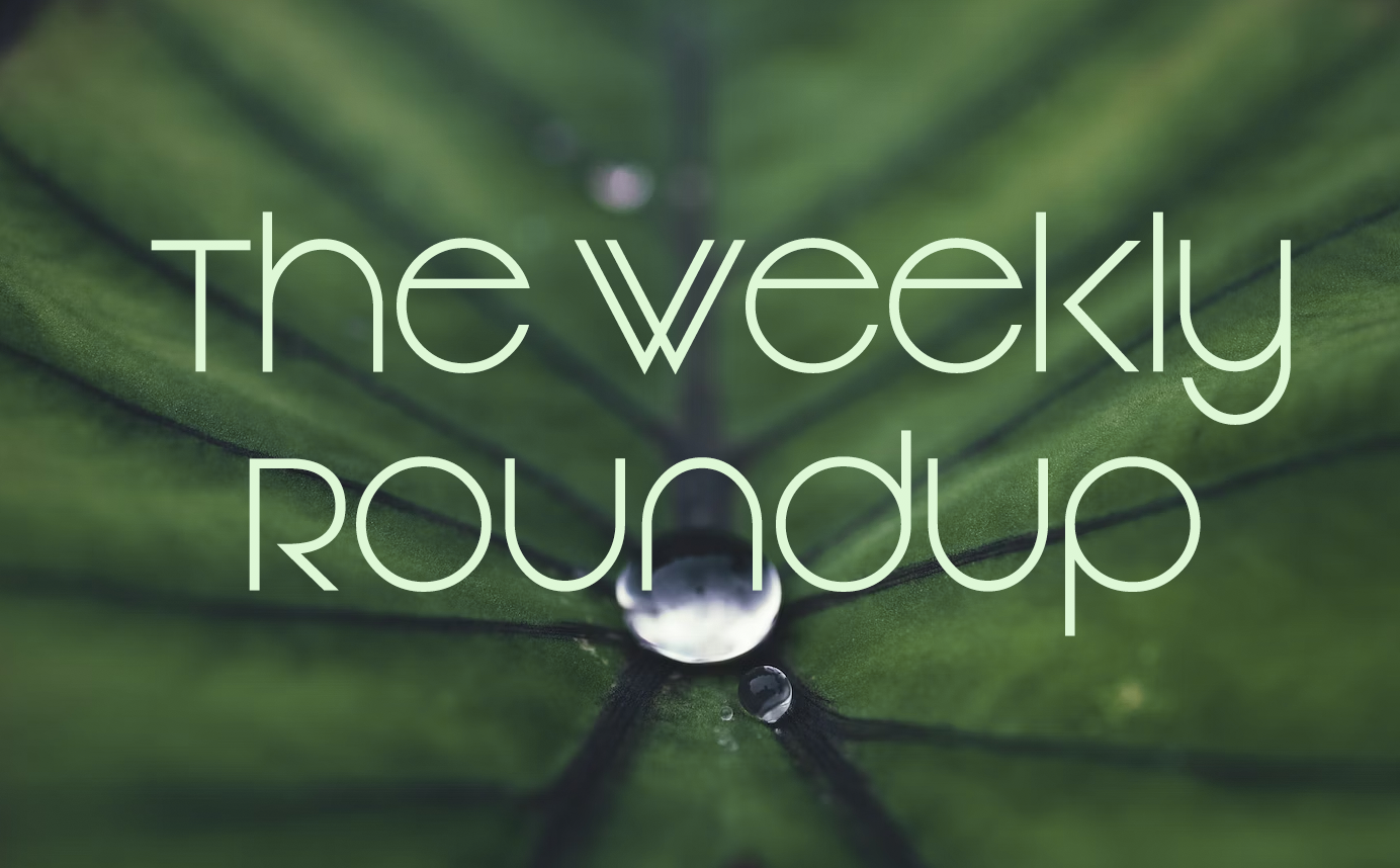 The Weekly Roundup: July 24 - 28