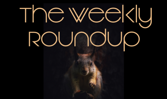 The Weekly Roundup May 12 - 17