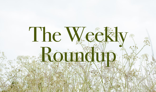 The Weekly Roundup July 8 - 12