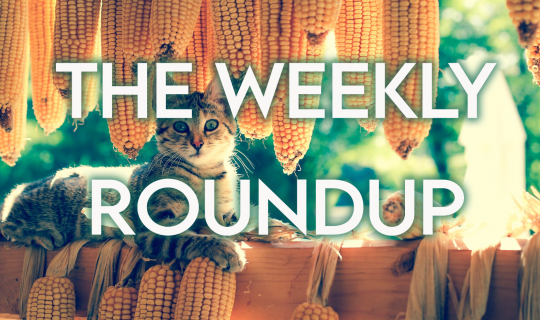 The Weekly Roundup: August 19 - 23