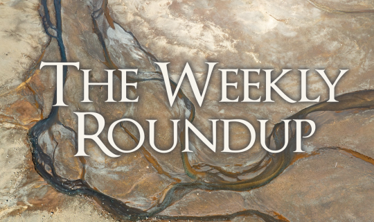 The Weekly Roundup September 16 - 20