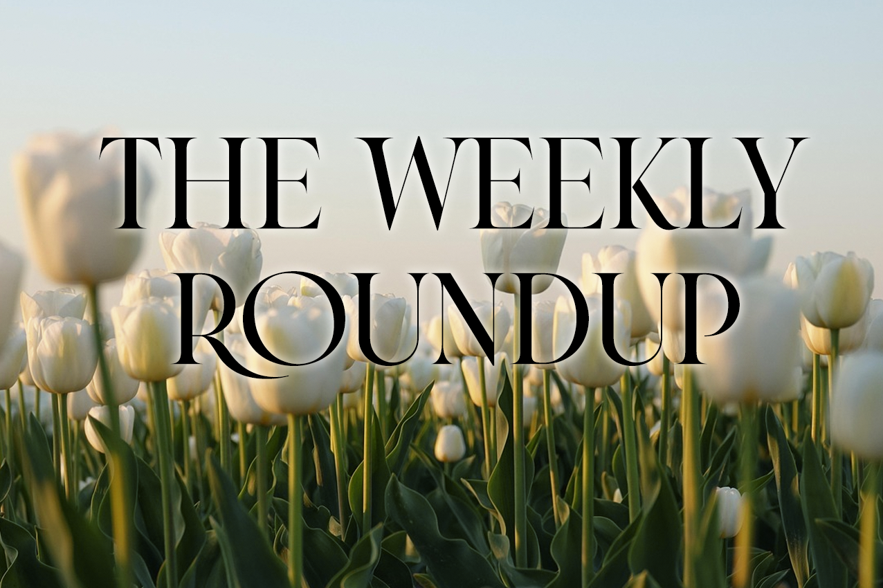 The Weekly Roundup: January 13 - 17