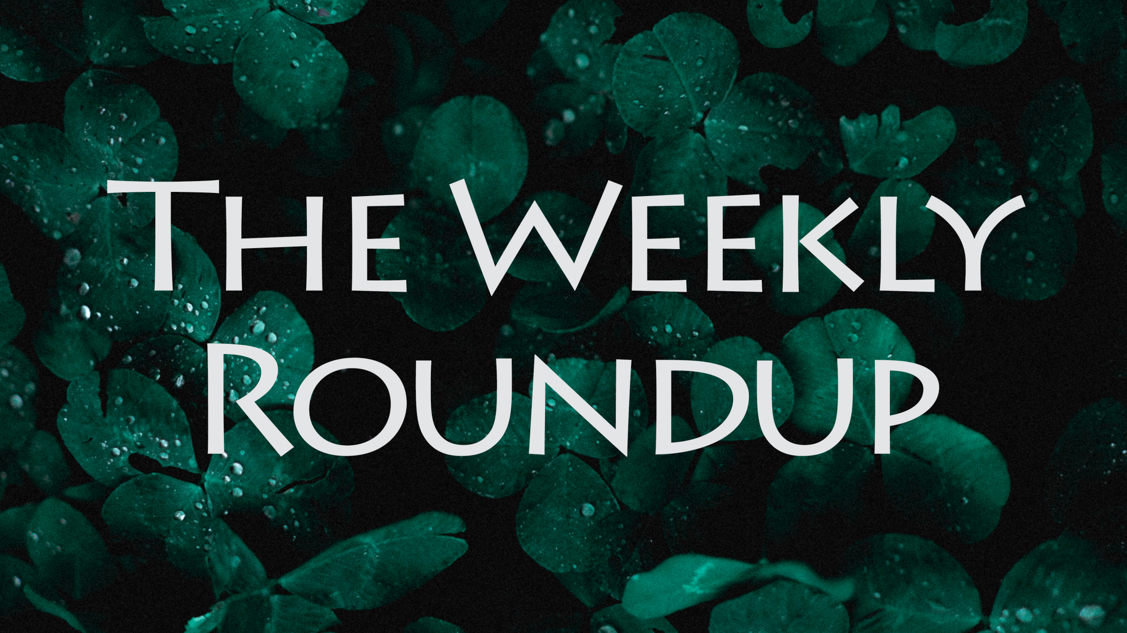 The Weekly Roundup March 17 - 21