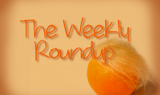 The Weekly Roundup November 4 - 8