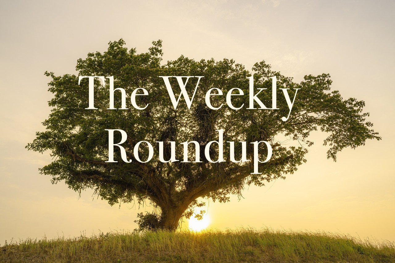 The Weekly Roundup May 2 - 5