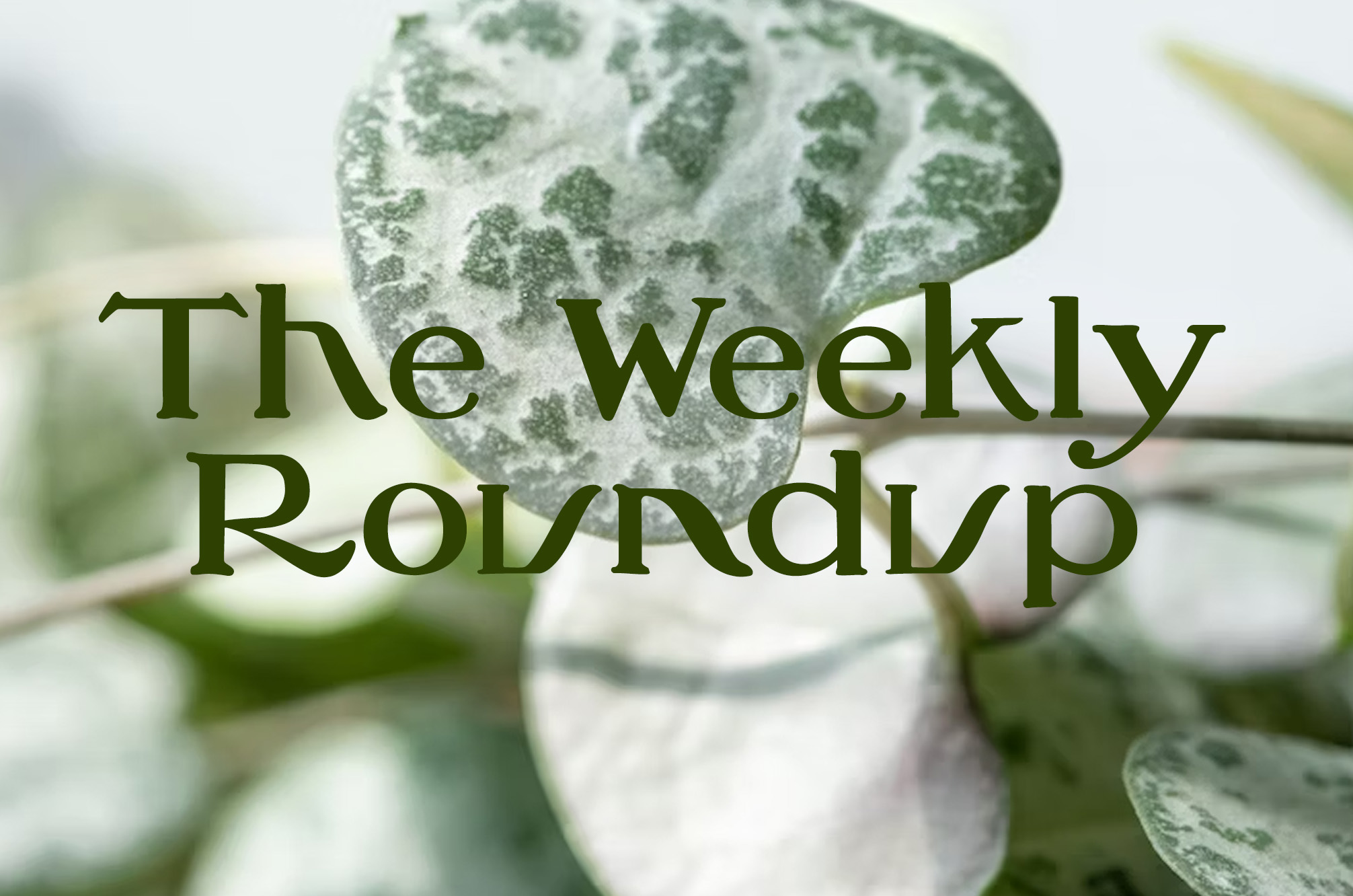 The Weekly Roundup May 22 - 26